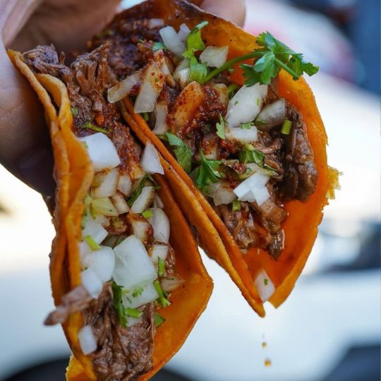 Tacos denbanda